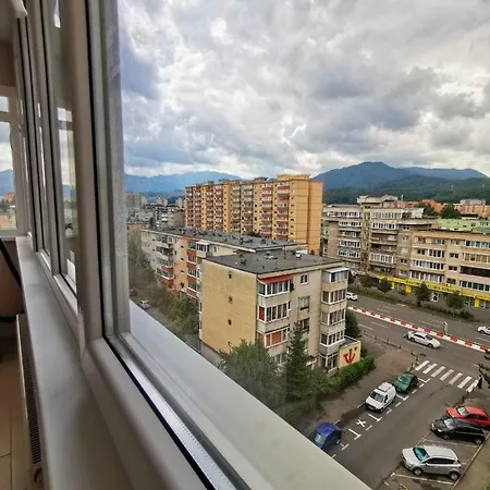 Scandinavian * Brasov