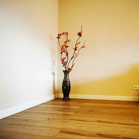 Scandinavian Apartment *